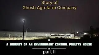 From Ground to Shed: Building My EC Poultry Farm