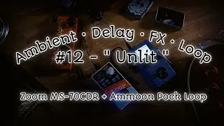 Ambient &bull; Delay &bull; FX &bull; Loop | #12 - 