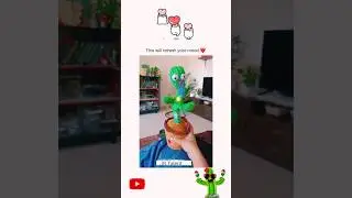 Cactus Song  / JB Talent  /