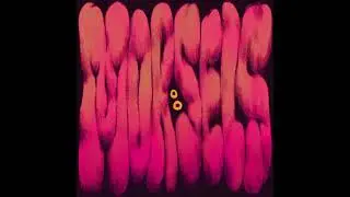 38 - SOFT CITY