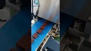 P308 dry fruit bar machine #shorts