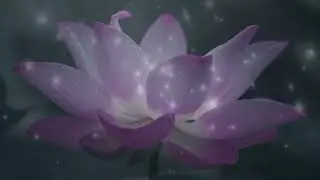 #&aacute;lmatlans&aacute;g#0,5Hz #DeltaFrequency #HealingMusic #DeepSleep #Meditation #Relaxation #Alv&aacute;s