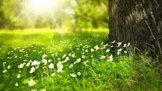 10 Minute Sunlight Piano Meditation | Blue Cloud
