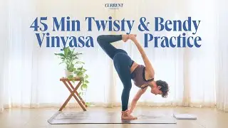 45 Min Twisty & Bendy Vinyasa Practice w/ Baby Grasshopper