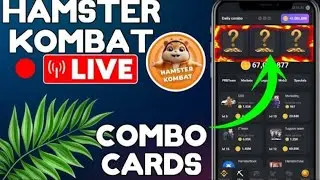 Hamster Kombat Daily Combo Cards ♦️ HAMSTER 🐹 Kombat 🔴Live  The Tecky