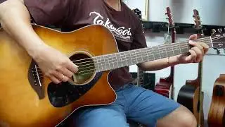 Yamaha FGX800c