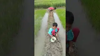 Di prank bocil yang lagi mancing.