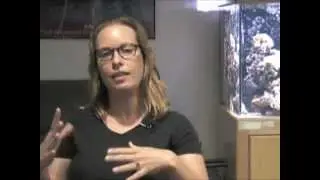 Computational Drug Discovery for Cancer-Related Receptor CXCR4