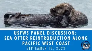 USFWS Panel Discussion: Sea Otter Reintroduction along Pacific West Coast