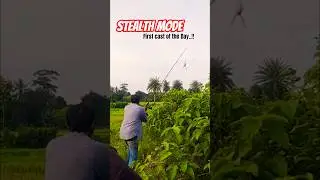 First Cast, Full Stealth! Epic Snakehead Start in Tarito&rsquo;s Jungle Pond 🎯🐍🌄