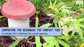 Composting for Beginners: The Compost Tube