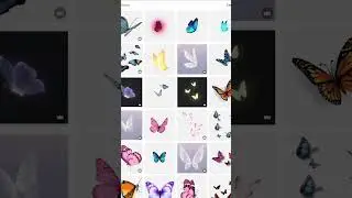 Mariposa en el dedo
