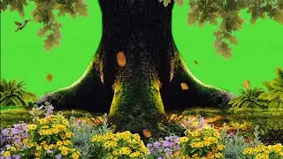 🍁🍁Green Screen Beautiful Nature Effect / Green Screen Garden Tree / Green Screen Falling Tree Leaves