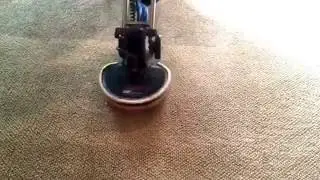carpet cleaning bolton