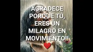 AGRADECE PORQUE TU, ERES UN MILAGRO EN MOVIMIENTO!! ❤