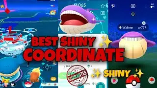 Best Coordinates For Rare Pokemon in Pokemon Go | Shiny Pokemon Coordinates #gaming #trending