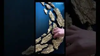 Use tree bark, Wall decor