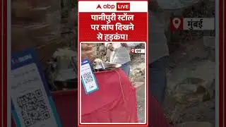 Viral Video: पानीपुरी स्टॉल पर सांप दिखने से हड़कंप! | Breaking News | Shorts | Viral Video | Mumbai