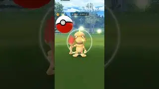 caught shiny smeargle #pokemongo #viral #pokemon #gamer #gaming