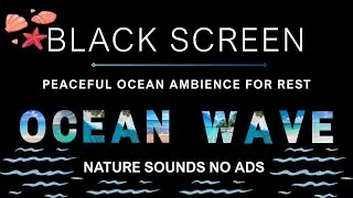 Ocean Waves Sounds for Tranquility 🌊 Soothing Sounds to Melt Stress, Enhance Sleep & Clear Your Mind