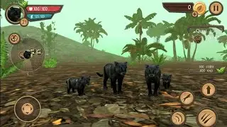 Wild Panther Sim 3d, Black Panther Hunter, Play Game, Td Gaming Vishal #panthergaming #panthers