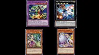 P.U.N.K Rose ABC Combo post DIFO 2022 - 6 Disruptions NO AURORADON