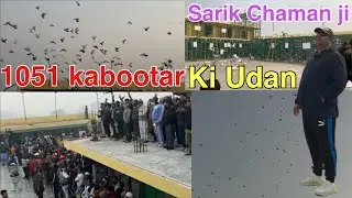 Sarik Chaman bidi vale ki 1051 kabootar ki udane 🕊️🏆