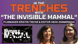 In The Trenches • Interview With Filmmaker Kristin Tieche & Editor Heidi Zimmerman