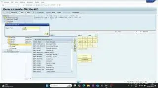 Validation/ SAP Fico/ OB28