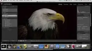 Workflow in Photoshop Lightroom (8/19)