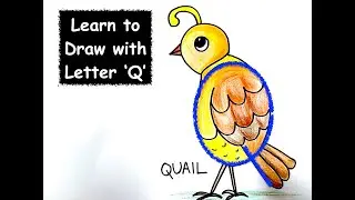 How to draw a Quail| Alphabet Drawing with 'Q' | Easy Quail Drawing | The Kid Next Door