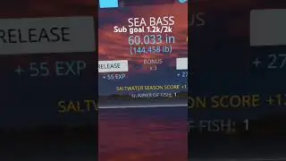 Real VR Fishing 🎣 #vrfishing #realvrfishing #fishing #metaquest3 #gaming