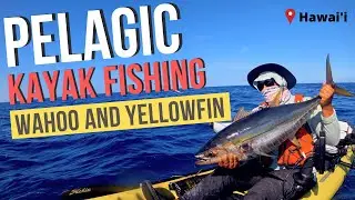 Fighting TWO fish at the same time! | Hawai'i Kayak Fishing