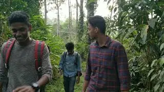 The Life from nature|| #nature#shortfilm#manandnature#shotononeplus#survival
