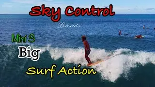 MINI3 BIG SURF ACTION