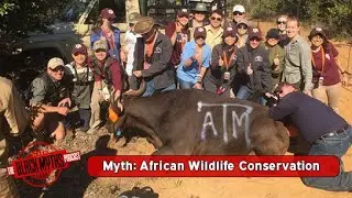 Myth: African Wildlife Conservation (W/ Dr. Aby L. S&egrave;ne) - The Black Myths Podcast
