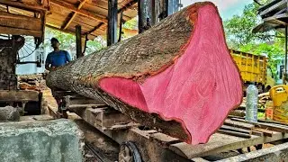 sawing super large mahogany wood with beautiful grain