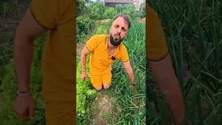 Ceapă cu clopoței 😵&zwj;💫😵&zwj;💫😵&zwj;💫#foodie #funny #viralvideo #comedie