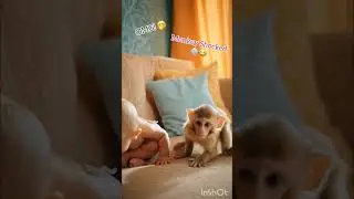 Monkey Never Expected THIS From Baby 🙉💨😂 #shorts