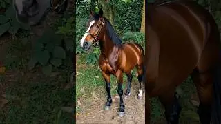 After the Injection&hellip; Little Brother Turns into a Horse! 🐴😱🤣