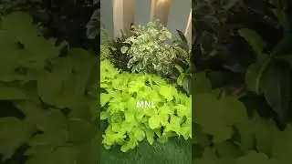 Landscape green view#foryou #greenlandscape #gardendesign #viral #garden #greenpakistan #landscape
