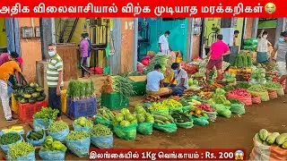 மரக்கறிகளின் திடீர் விலை உயர்வு | Today Vegetable Price | Jaffna suthan