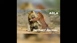 A2LA - Instinct animal