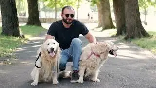 all dog video# all variety# new dog# new video# new#song# all dog 🐶🐕 # available #
