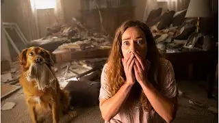 This Dog ruined MY HOUSE… And Made Me Take Extreme Action