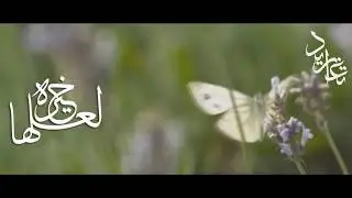 لعلها خيرة .. HD