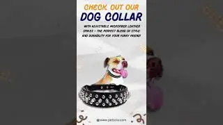 Stylish Spiked Dog Collar: Adjustable Microfiber Leather for Trendy & Comfortable Pups!