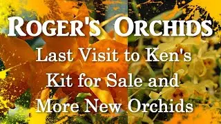 Last Visit to Kens, Kit for Sale, and More New Orchids