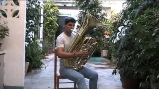 Perico sambeat on tuba