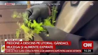 Piedone a &icirc;nchis 9 restaurante de pe litoral, după ce a găsit g&acirc;ndaci, mucegai şi produse expirate